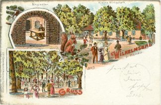 Hanau - Wilhelmsbad, Farb-Litho, 1902