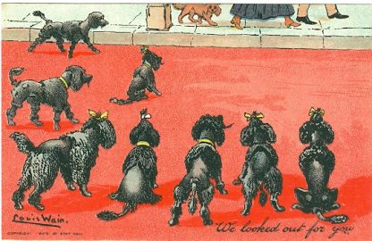 Hunde, Pudel "We looked out for you" sign. Louis Wain