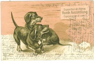 Hunde, Dackel, "Hundeausstellung", Prägekarte