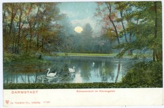 Darmstadt, Schwanenteich im Herrengarten, um 1910