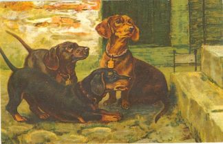 Dackel, Künstlerkarte, um 1910