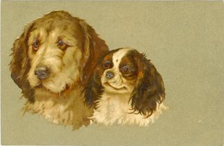 Hund, Hunde, Prägekarte, um 1910