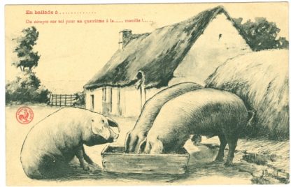 Schwein, Schweine, Bauernhof, um 1910/20