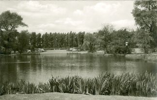 Gelsenkirchen, Stadtpark, ca. 60er Jahre