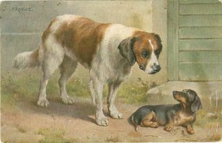 Dackel, Hunde, sign. C. Reichert, um 1910/20