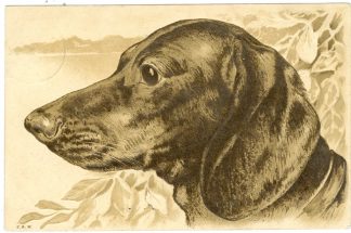 Dackel, Prägekarte, 1902