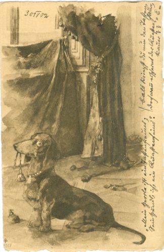 Dackel, zerrissener Vorhang, 1902