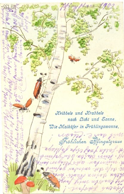 Pfingsten, Maikäfer, Prägekarte, 1902