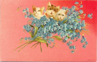 Katzen mit Vergissmeinnicht, Farb-Litho, um 1900/10