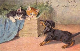 Dackel mit zwei Katzen, um 1902