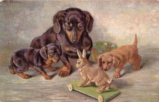 Dackel mit Spielzeughase, sign. Stocks, um 1900/10