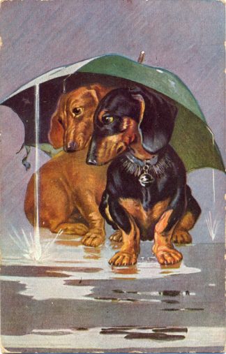 Dackel mit Regenschirm, 1910