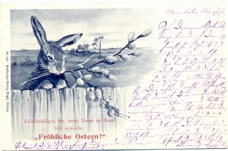 Ostern, Hase mit Palmkätzchen, 1900