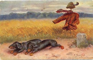 Dackel, Acker, Vogelscheuche, 1916