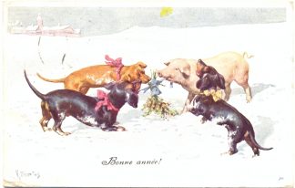 Neujahr, Dackel mit Schwein, sign. Feiertag