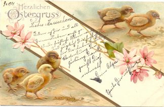 Ostern, Küken, Blumen, Prägekarte, 1904