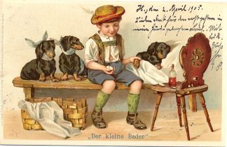 Dackel, junge pflegt kranke Dackel, 1905