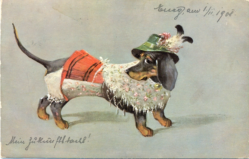 Dackel, Küche, 1903