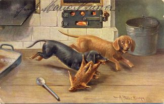 Dackel, Küche, 1903