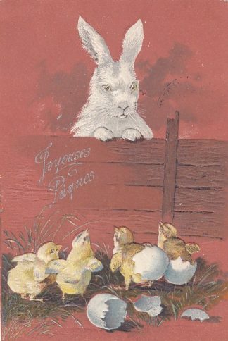 Ostern, Hase mit Küken, Prägekarte, 1904