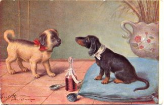 Dackel, kranker Dackel, um 1910/20