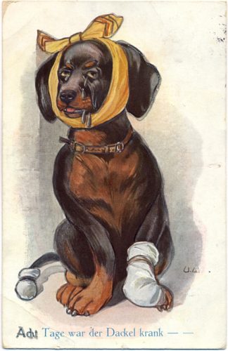 Dackel, kranker Dackel, 1914