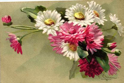 Blumen, Prägekarte, sign. C. Klein, 1901 von Tönning nach Witzwort versandt