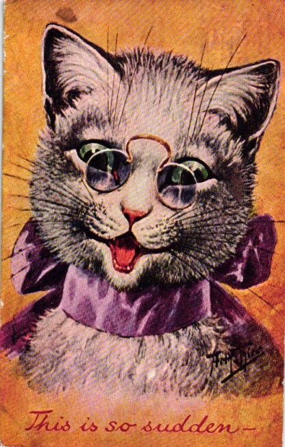 Katze, Katzenportrait, sign. Arthur Thiele, 1909