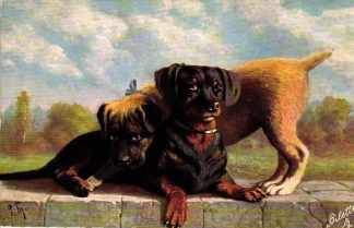 Dackel, Künstlerkarte, Verlag Tuck & Sons, um 1910