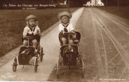 Herzog von Braunschweig, Die Söhne mit Spielzeugauto