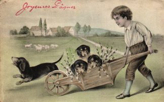 Junge, Dackel in einer Schubkarre, um 1910/20