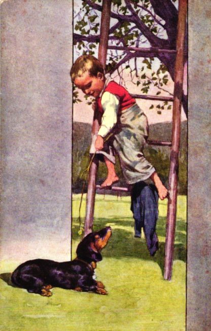 Dackel, Junge auf einer Leiter, 1906