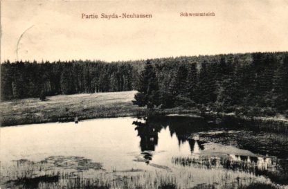 Sayda-Neuhausen schwemmteich