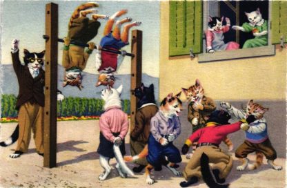 Katze, Katzen beim Sportunterricht, Max Künzli, 1945