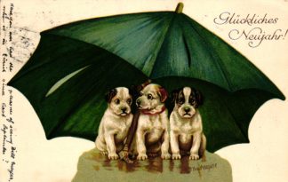 Neujahr, Hunde mit Regenschirm, 1911 in Luzern versandt