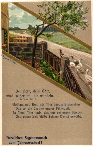 Neujahr, Gänse, Landschaft, Prägekarte, um 1910/20