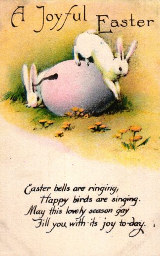 Ostern, Hasen mit großem Ei, amerikanische AK, um 1910