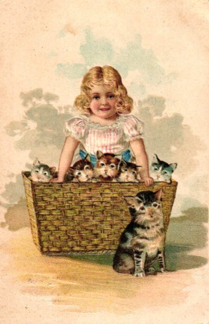 Mädchen, Korb mit Katzen, Prägekarte, 1903