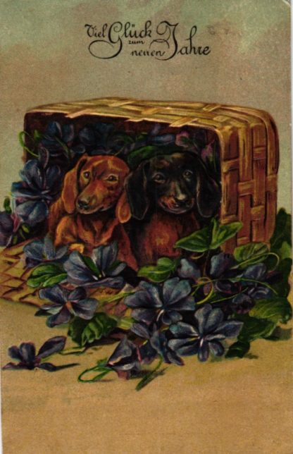 Neujahr, Dackel im Blumenkorb, Prägekarte, um 1910