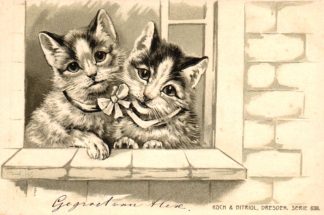 Katzen am Fenster, Prägekarte, um 1900/05