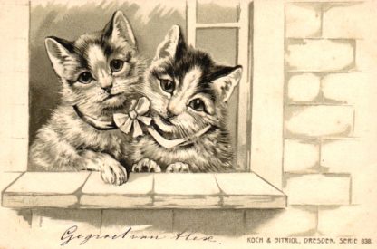 Katzen am Fenster, Prägekarte, um 1900/05