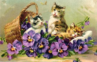 Katzen mit Korb und Stiefmütterchen, Prägekarte, um 1910