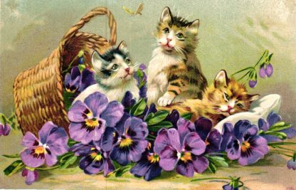 Katzen mit Korb und Stiefmütterchen, Prägekarte, um 1910