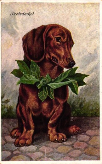 Dackel mit Lorbeerkranz, "Preisdackel", 1933