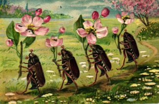 Pfingsten, Maikäfer mit Blumen, Prägekarte, 1909