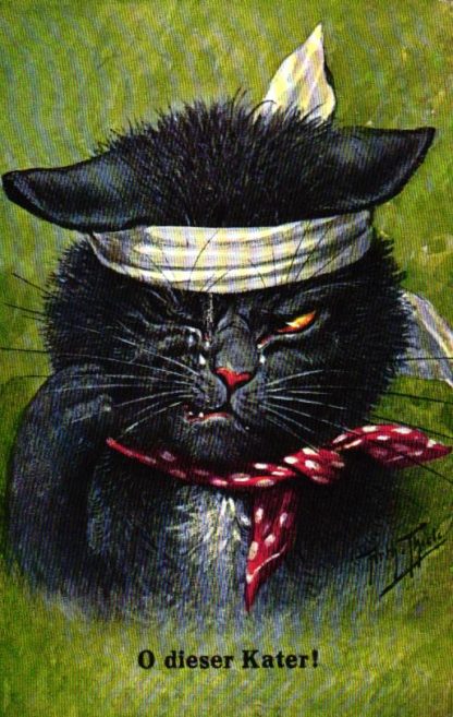 Katze, Kater mit Kopfverband, sign. Arthur Thiele