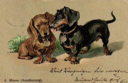 Dackel, "Dackels Lebenslauf", Minne / Annäherung, 1906