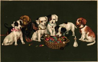Hunde, Dackel, Korb, 1911