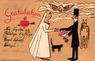 Hochzeit, Katze, Pferd, schwedische Glückwunsch-AK, um 1905