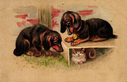 Dackel, versteckte Katze, um 1910/20